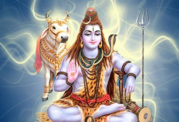 Daily Pooja Feature Image